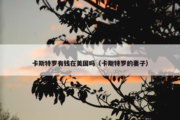 卡斯特罗有钱在美国吗（卡斯特罗的妻子）