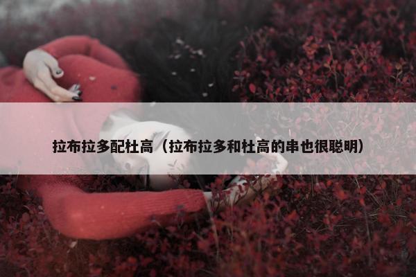 拉布拉多配杜高（拉布拉多和杜高的串也很聪明）