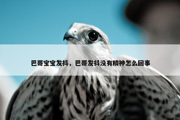 巴哥宝宝发抖，巴哥发抖没有精神怎么回事