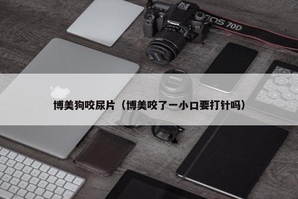 博美狗咬尿片（博美咬了一小口要打针吗）