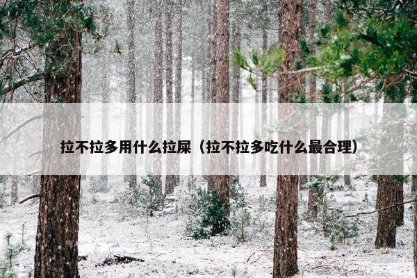 拉不拉多用什么拉屎（拉不拉多吃什么最合理）