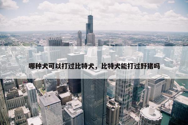 哪种犬可以打过比特犬，比特犬能打过野猪吗