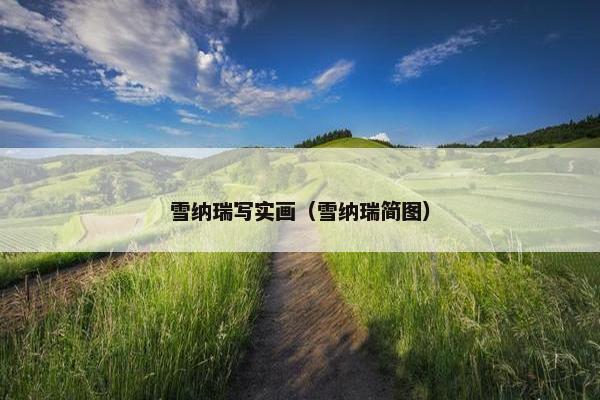 雪纳瑞写实画（雪纳瑞简图）