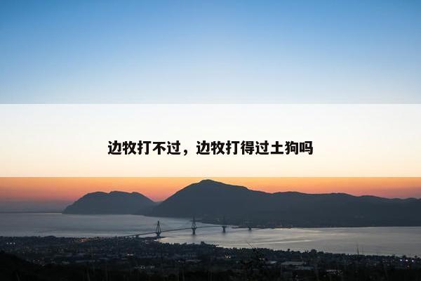 边牧打不过，边牧打得过土狗吗