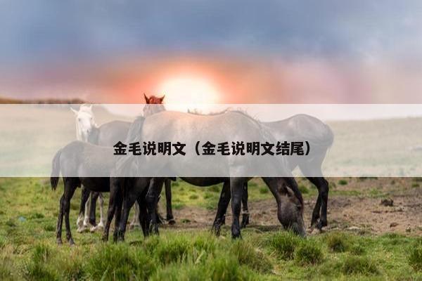金毛说明文（金毛说明文结尾）