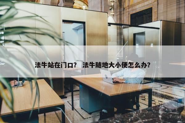 法牛站在门口？ 法牛随地大小便怎么办？