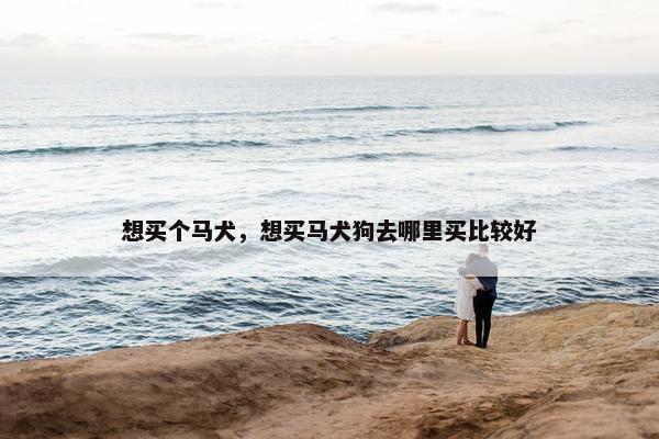 想买个马犬，想买马犬狗去哪里买比较好