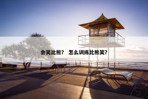 会笑比熊？ 怎么训练比熊笑？