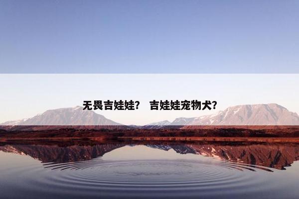 无畏吉娃娃？ 吉娃娃宠物犬？