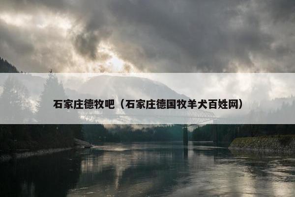 石家庄德牧吧（石家庄德国牧羊犬百姓网）