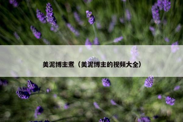 美泥博主煮（美泥博主的视频大全）