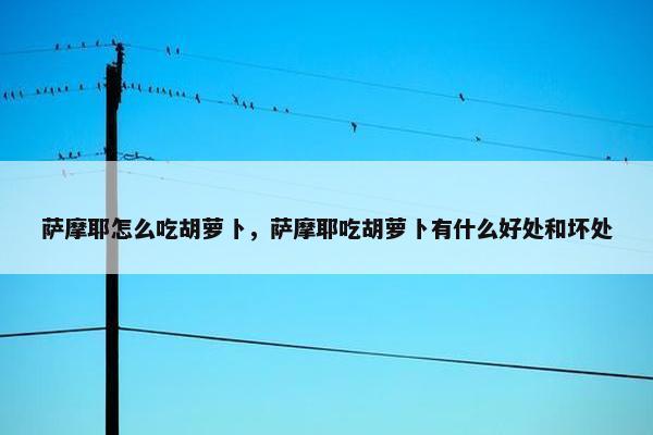 萨摩耶怎么吃胡萝卜，萨摩耶吃胡萝卜有什么好处和坏处