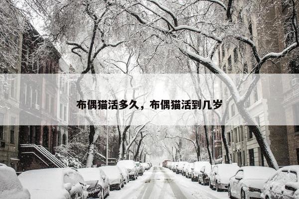 布偶猫活多久，布偶猫活到几岁