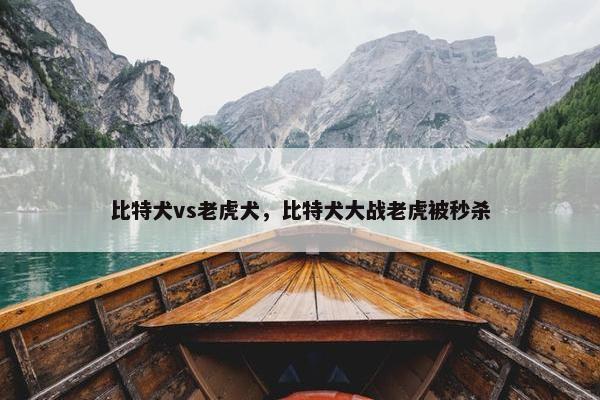 比特犬vs老虎犬，比特犬大战老虎被秒杀