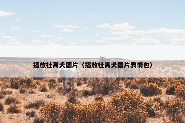 播放杜高犬图片（播放杜高犬图片表情包）