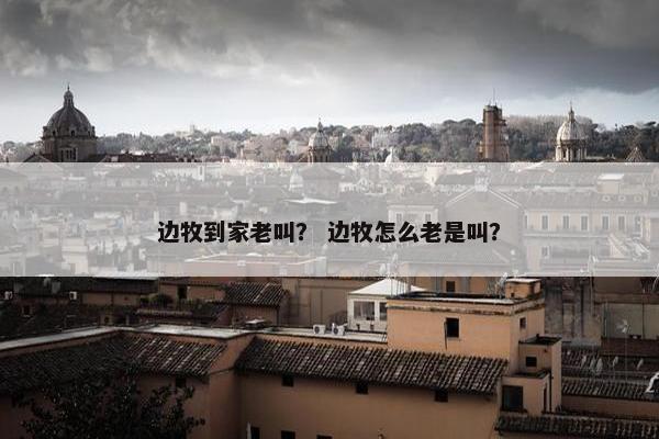 边牧到家老叫？ 边牧怎么老是叫？