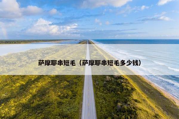 萨摩耶串短毛（萨摩耶串短毛多少钱）