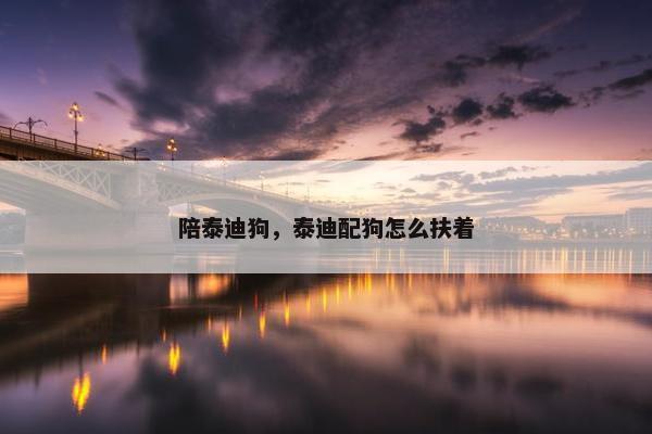 陪泰迪狗，泰迪配狗怎么扶着