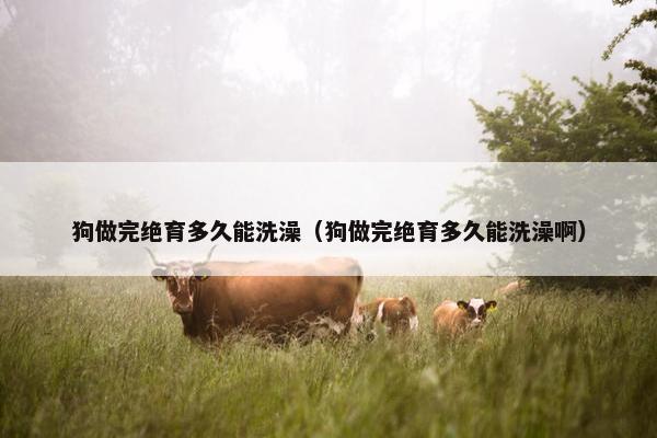狗做完绝育多久能洗澡（狗做完绝育多久能洗澡啊）