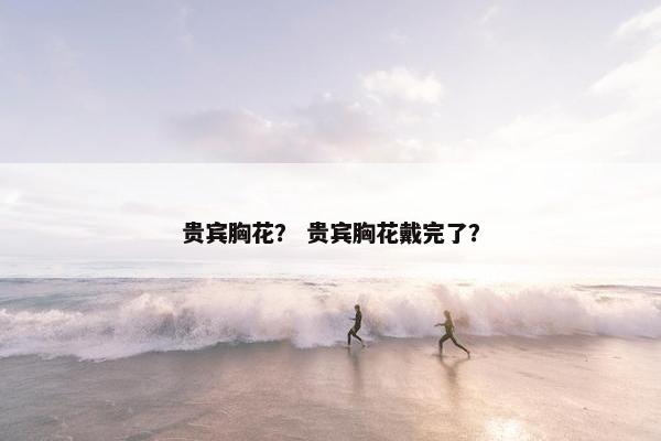 贵宾胸花？ 贵宾胸花戴完了？