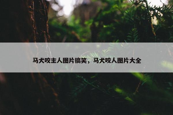马犬咬主人图片搞笑，马犬咬人图片大全
