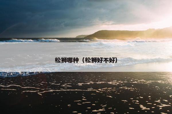 松狮哪种（松狮好不好）