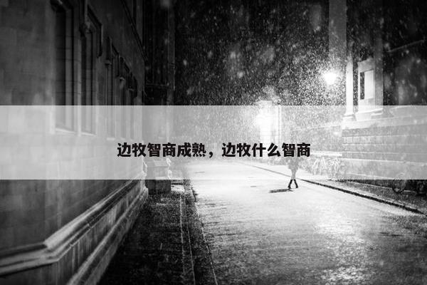 边牧智商成熟，边牧什么智商