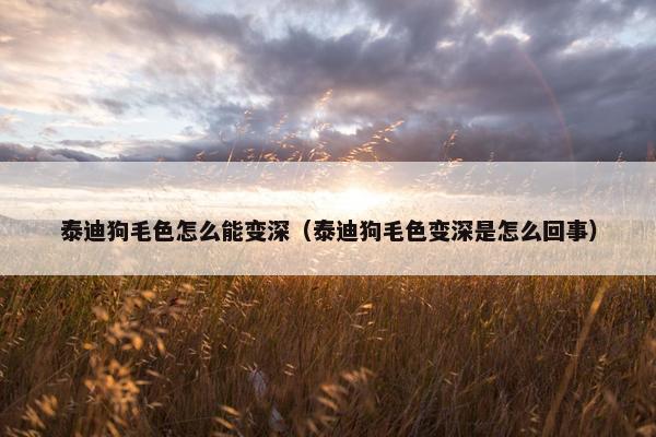 泰迪狗毛色怎么能变深（泰迪狗毛色变深是怎么回事）