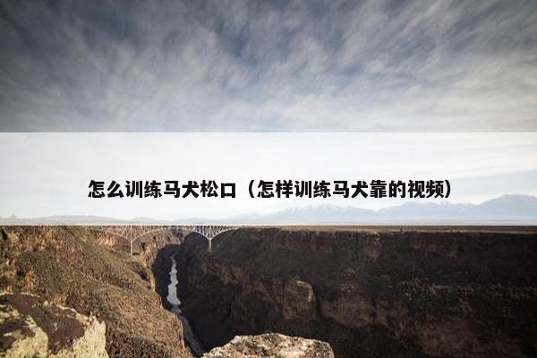 怎么训练马犬松口（怎样训练马犬靠的视频）