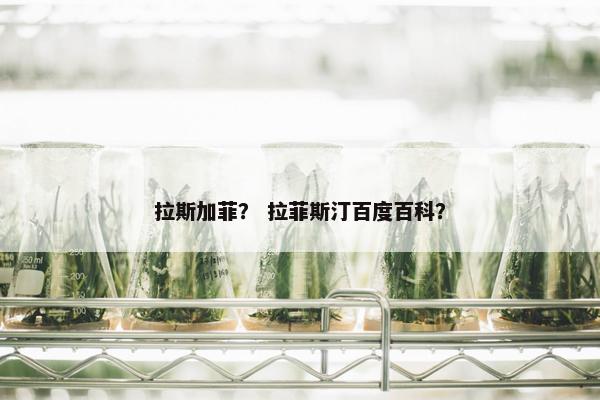 拉斯加菲？ 拉菲斯汀百度百科？