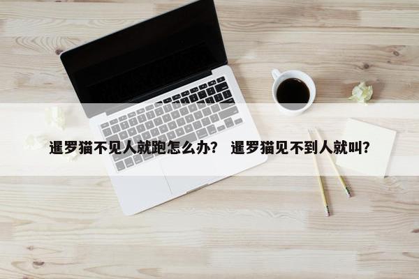 暹罗猫不见人就跑怎么办？ 暹罗猫见不到人就叫？