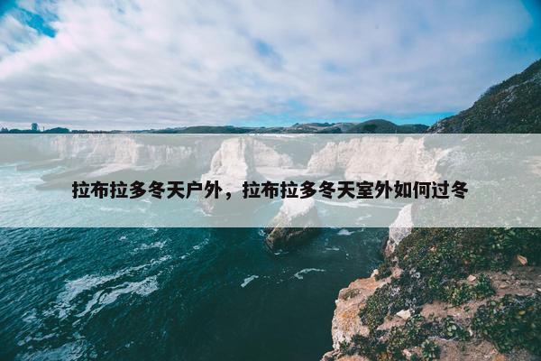 拉布拉多冬天户外，拉布拉多冬天室外如何过冬