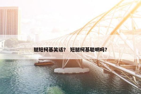 腿短柯基笑话？ 短腿柯基聪明吗？