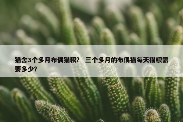 猫舍3个多月布偶猫粮？ 三个多月的布偶猫每天猫粮需要多少？