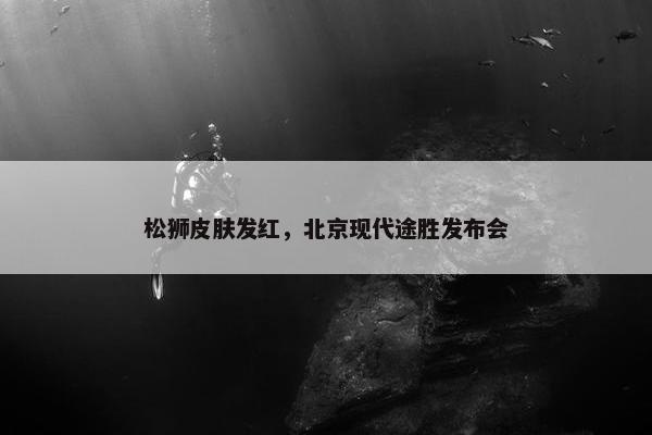 松狮皮肤发红，北京现代途胜发布会