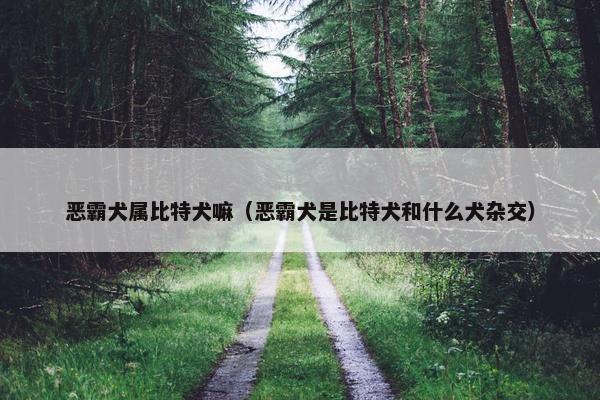恶霸犬属比特犬嘛（恶霸犬是比特犬和什么犬杂交）