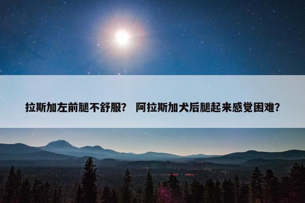 拉斯加左前腿不舒服？ 阿拉斯加犬后腿起来感觉困难？