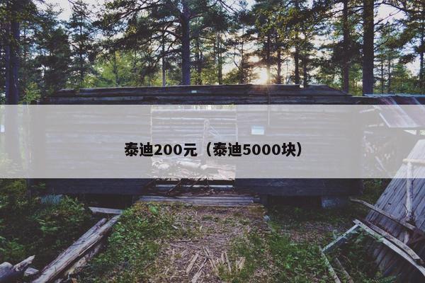 泰迪200元（泰迪5000块）