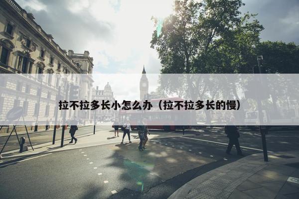 拉不拉多长小怎么办（拉不拉多长的慢）