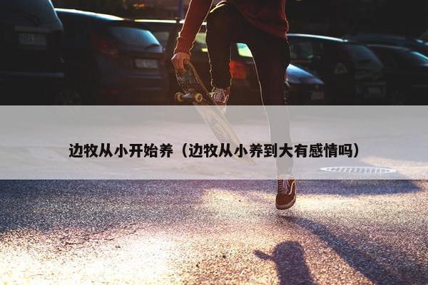 边牧从小开始养（边牧从小养到大有感情吗）