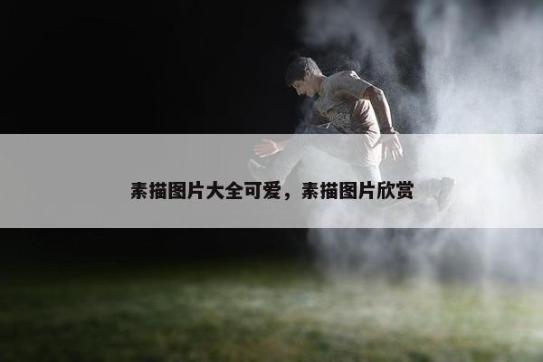 素描图片大全可爱，素描图片欣赏