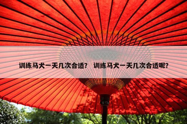 训练马犬一天几次合适？ 训练马犬一天几次合适呢？