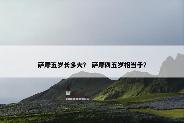 萨摩五岁长多大？ 萨摩四五岁相当于？