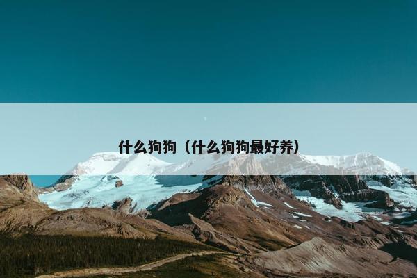 什么狗狗（什么狗狗最好养）