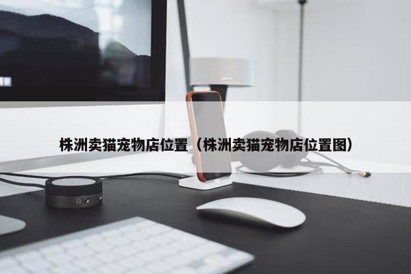 株洲卖猫宠物店位置（株洲卖猫宠物店位置图）