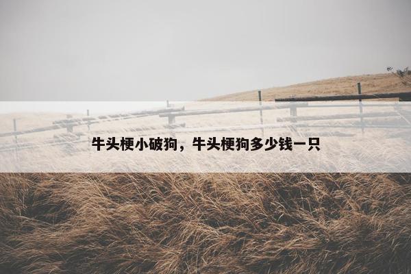 牛头梗小破狗，牛头梗狗多少钱一只