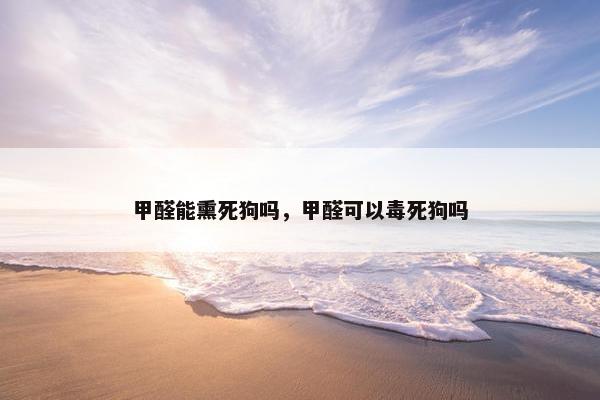 甲醛能熏死狗吗，甲醛可以毒死狗吗