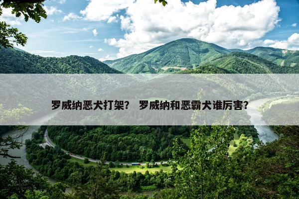 罗威纳恶犬打架？ 罗威纳和恶霸犬谁厉害？