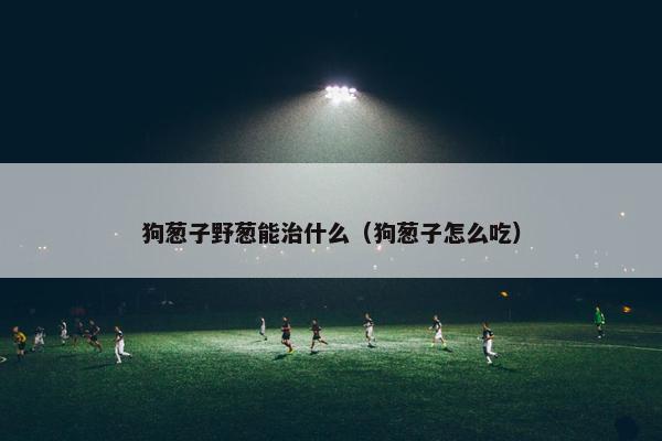 狗葱子野葱能治什么（狗葱子怎么吃）
