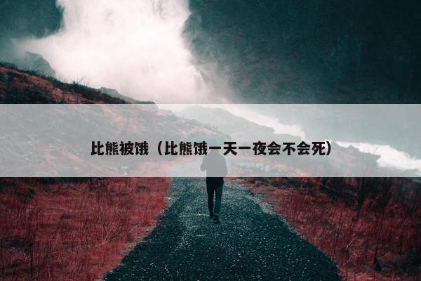 比熊被饿（比熊饿一天一夜会不会死）